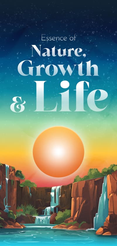 Shopify Custom storefront