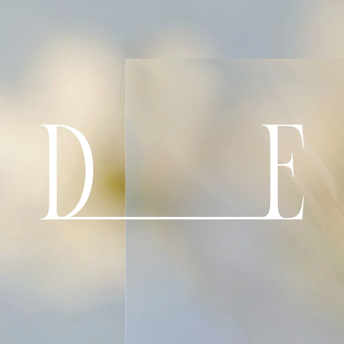 Drop Edition Summer Edit